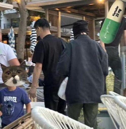 陆文臣被爆料视频,揭秘背后真相